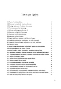 Modelisation de L'irradiateur du CNSTN et Calcul des Courbes Isodoses