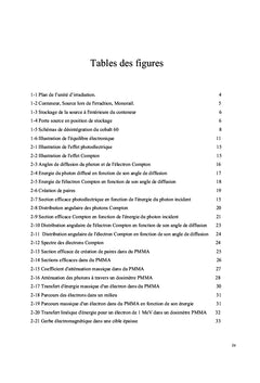 Modelisation de L'irradiateur du CNSTN et Calcul des Courbes Isodoses