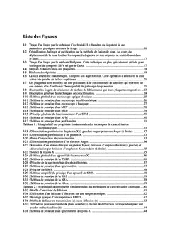 Etude et Conception de Capteurs A base de Niobate de Lithium.