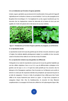 Biologie de la reproduction vegetale