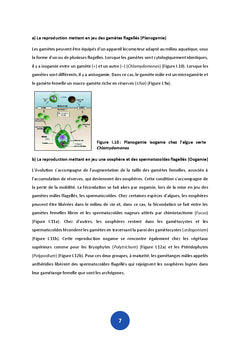 Biologie de la reproduction vegetale