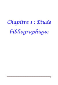 Etude et realisation d'un bras manipulateur commande A base de PIC