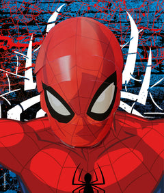 Marvel Spider-Man - Mon colo avec posters 3D