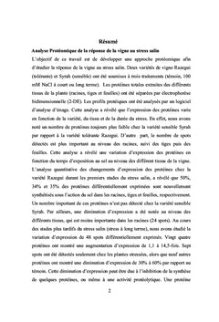 Analyse Proteomique de la reponse de Vitis vinifera au strèss salin