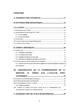 Analyse Proteomique de la reponse de Vitis vinifera au strèss salin