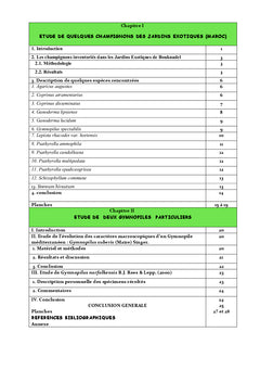La fonge des jardins exotiques du Maroc avec 2 gymnopiles particuliers