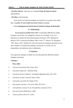 La fonge des jardins exotiques du Maroc avec 2 gymnopiles particuliers