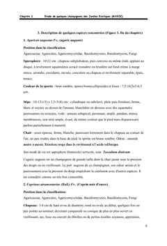 La fonge des jardins exotiques du Maroc avec 2 gymnopiles particuliers