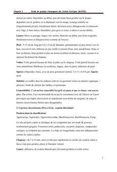La fonge des jardins exotiques du Maroc avec 2 gymnopiles particuliers