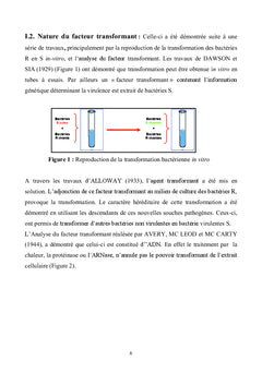 Biologie Moléculaire à l'usage des Etudiants des Sciences Biologiques