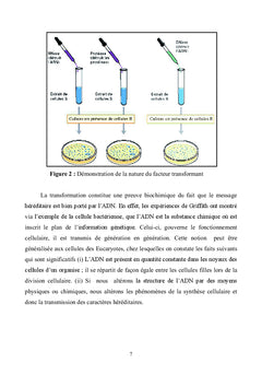 Biologie Moléculaire à l'usage des Etudiants des Sciences Biologiques