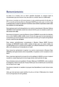Etude conceptuelle d'une mine A ciel ouvert