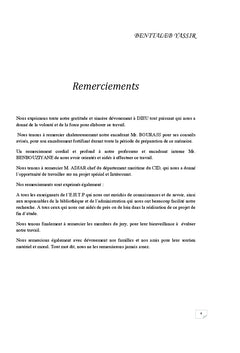 Etude de stabilite de la falaise adjacente ç la voie de contournement