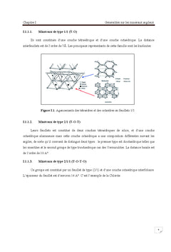 Argile, propriétés chimiques et biologiques