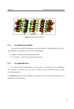 Argile, propriétés chimiques et biologiques