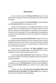 Quantification des nuisances et leurs impacts selon la MSFD