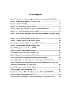 Quantification des nuisances et leurs impacts selon la MSFD