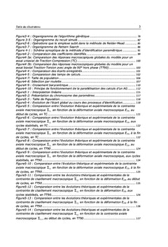 Optimisation de calcul et identification des paramètres