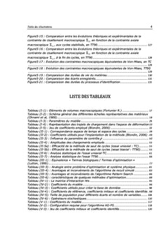 Optimisation de calcul et identification des paramètres