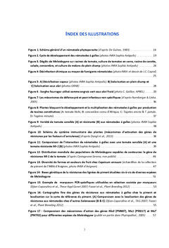 Innovations techniques et variétales pour la gestion des nématodes à galles