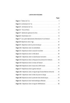 Complications infectieuses des fractures ouvertes de jambe