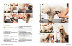 J'apprends à toiletter mon chien