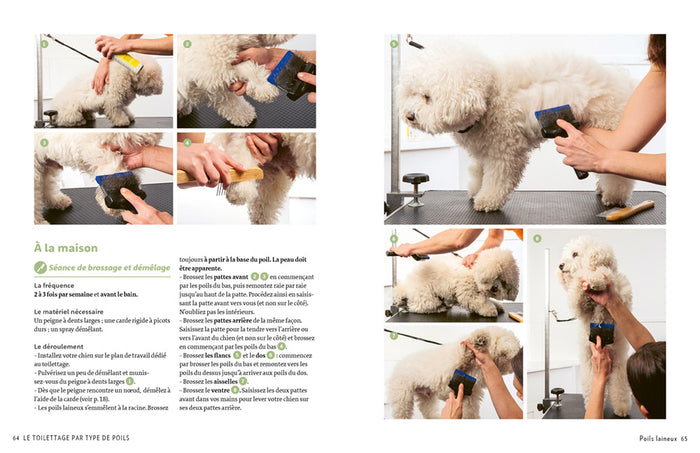 J'apprends à toiletter mon chien