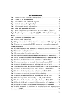 Lutte naturelle contre P. megakarya et S. singularis en cacaoculture