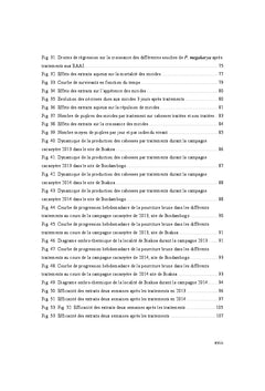 Lutte naturelle contre P. megakarya et S. singularis en cacaoculture