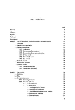 Tenon métallique et ciment résine : quel avantage ?