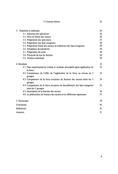 Tenon métallique et ciment résine : quel avantage ?