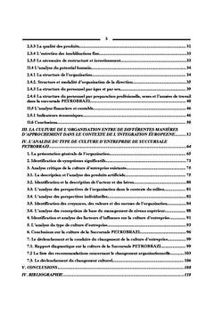 Culture d'entreprise de la Succursale Petrobrazi