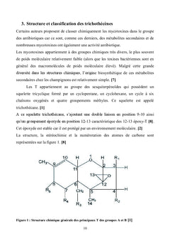 Les trichothecenes : particularites et optimisation de leur analyse