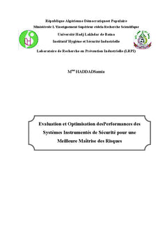 Evaluation et optimisation des performances des systemes instrumentes