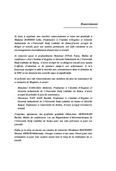 Evaluation et optimisation des performances des systemes instrumentes