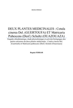 Camomille du sahara, Matricaire du sahara