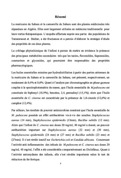 Camomille du sahara, Matricaire du sahara