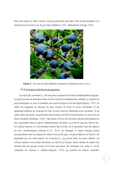 Effet de jus de myrte sur l'obesite nutritionnellement induite