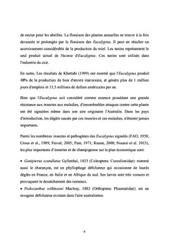 Comportement des Eucalyptus aux attaques de Phoracantha semipunctata