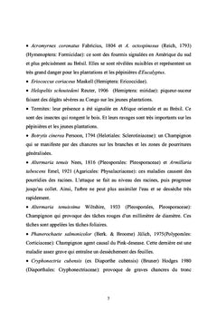 Comportement des Eucalyptus aux attaques de Phoracantha semipunctata