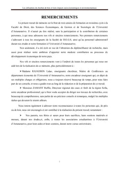 L'Utilisation du charbon de bois