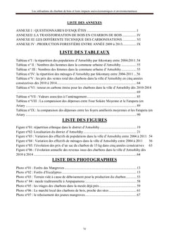 L'Utilisation du charbon de bois