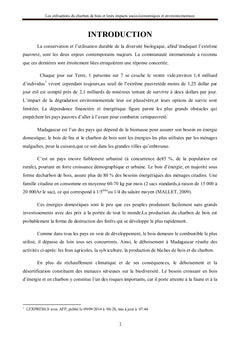 L'Utilisation du charbon de bois
