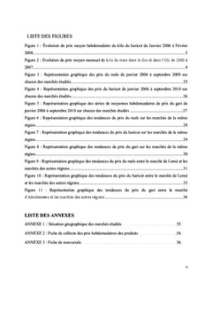 Service d'information et intégration spatiale des marchés agricoles