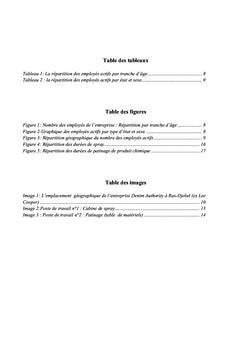 Analyse ergonomique de deux postes de travail de confection A Ras-jbal