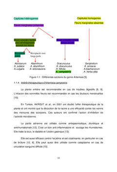Propriété pharmaco-toxicologique d'Artemisia campestris