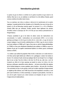 Gaz de schiste: l'essentiel à savoir pour comprendre et agir!