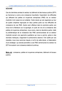 La PME camerounaise du BTP : croissance et strategie de developpement