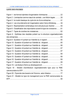 La PME camerounaise du BTP : croissance et strategie de developpement