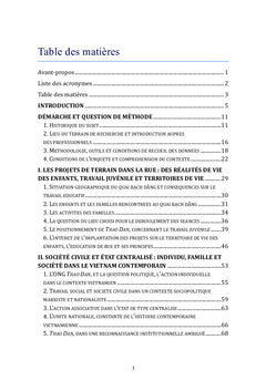 Travail social, etat et societe civile dans le Vietnam contemporain